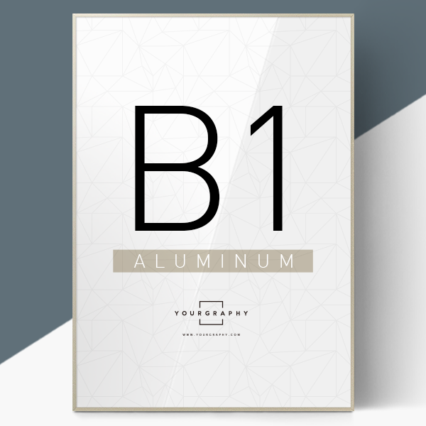 알루미늄 액자 플랫 샴페인골드 B1